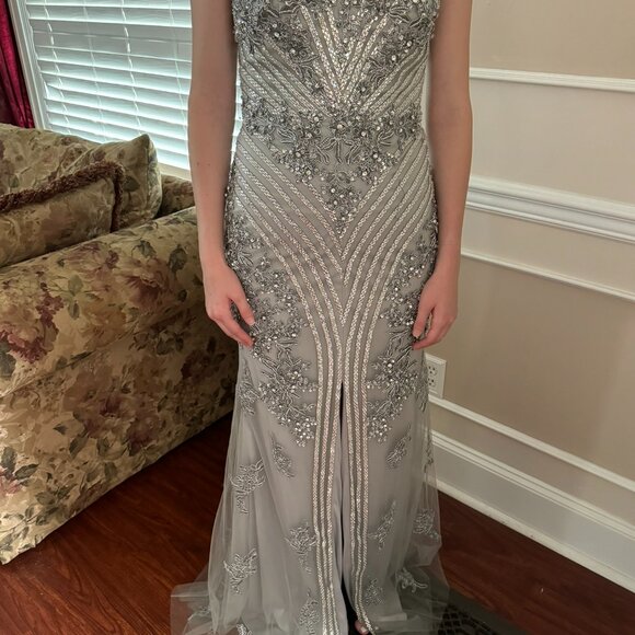 Silver Gown from the Colors Dress Collection at Seng Couture - Picture 4 of 16